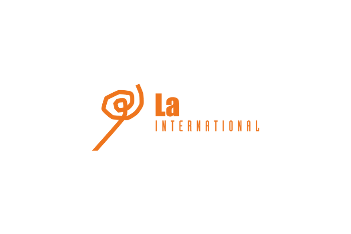 LSI